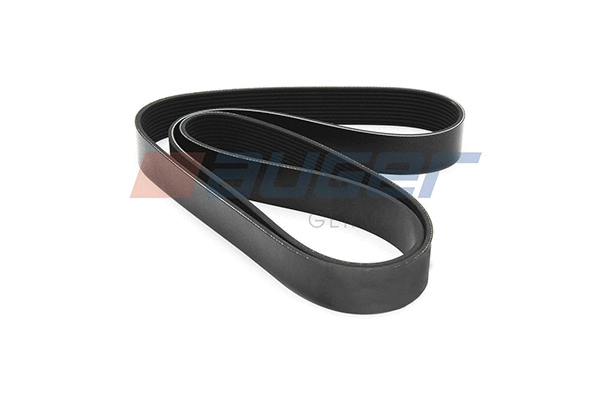 V-Ribbed Belt (79992)