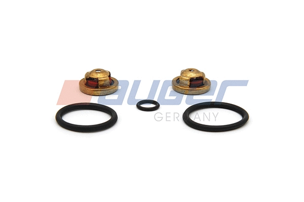 Repair Kit, fuel pump (85735)