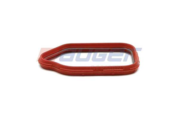 Gasket, timing case (100771)