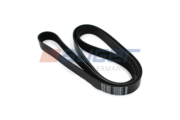 V-Ribbed Belt (79940)