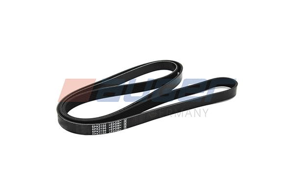 V-Ribbed Belt (87736)