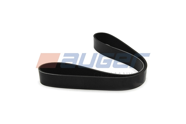 V-Ribbed Belt (80077)