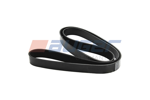 V-Ribbed Belt (79927)