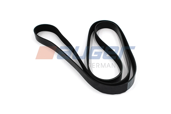 V-Ribbed Belt (87706)