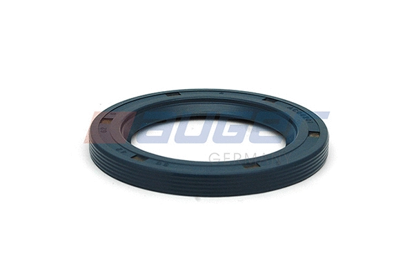 Seal Ring (54862)