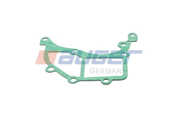 Gasket, water pump (100758)