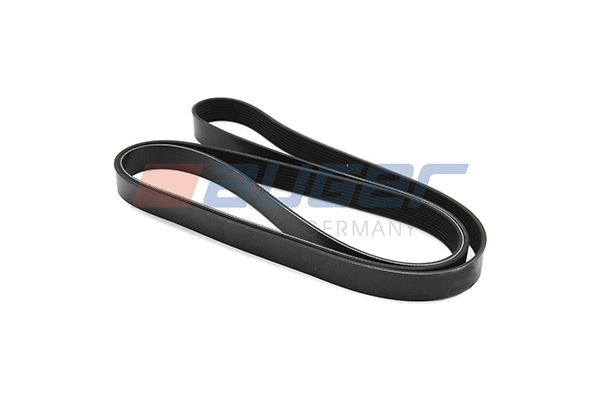 V-Ribbed Belt (87703)