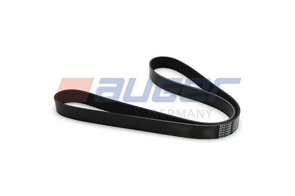 V-Ribbed Belt (80070)