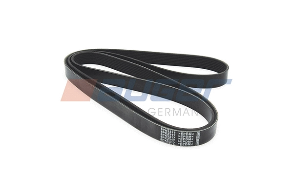 V-Ribbed Belt (87742)