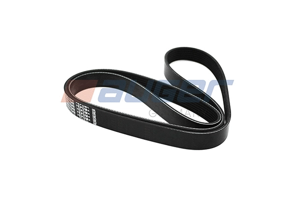 V-Ribbed Belt (90862)