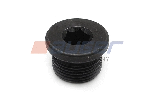 Screw Plug, oil sump (81957)