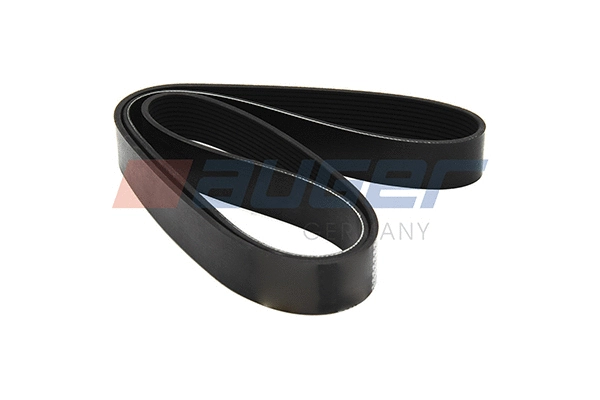 V-Ribbed Belt (79987)