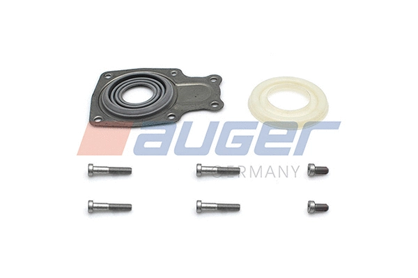 Repair Kit, brake caliper (56019)