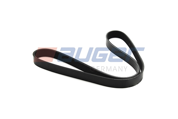 V-Ribbed Belt (80125)
