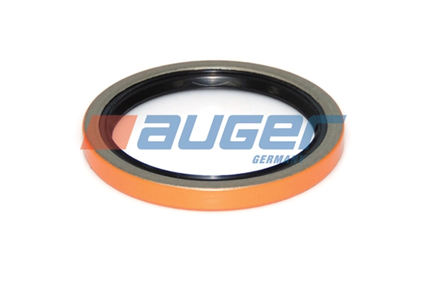 Shaft Seal, differential (77177)