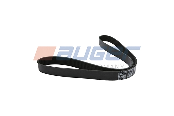 V-Ribbed Belt (90875)