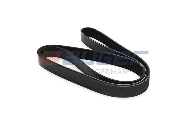 V-Ribbed Belt (79967)