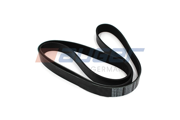 V-Ribbed Belt (79932)