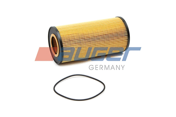 Oil Filter (76820)