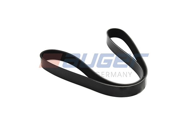 V-Ribbed Belt (79906)