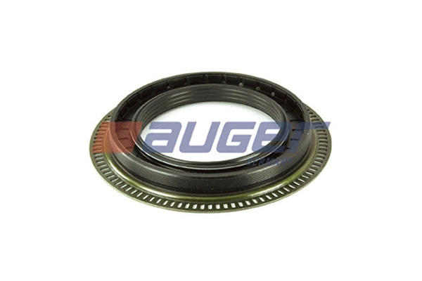 Shaft Seal, wheel hub (69385)