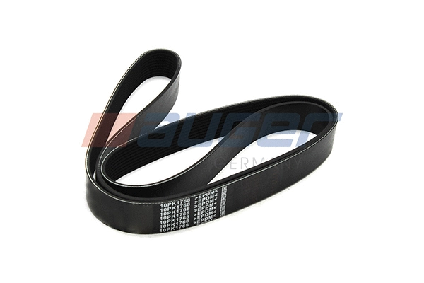 V-Ribbed Belt (79994)