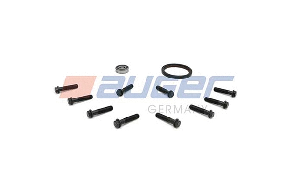 Repair Kit, flywheel (81781)
