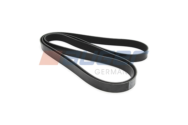 V-Ribbed Belt (87741)
