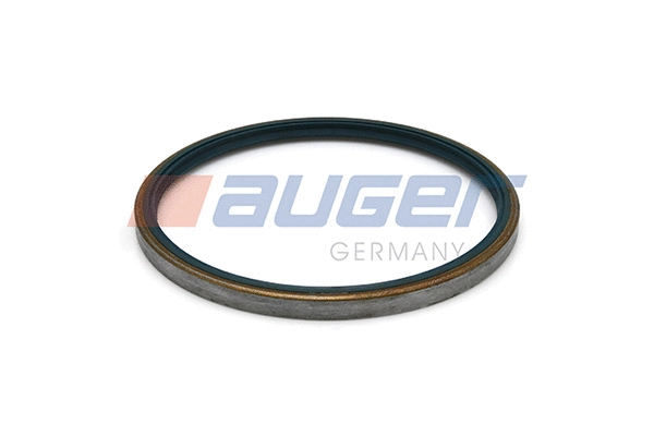 Shaft Seal, wheel hub (69328)