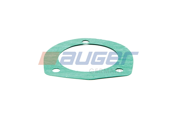 Gasket, manual transmission housing (87553)