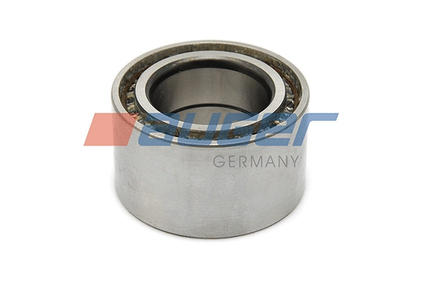 Wheel Bearing (80621)