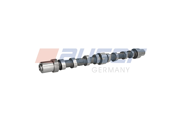 Camshaft (110829)