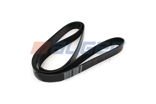 V-Ribbed Belt (79972)