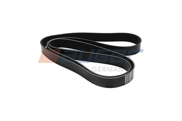 V-Ribbed Belt (87699)