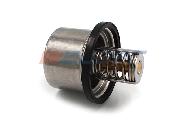 Thermostat, coolant (87480)