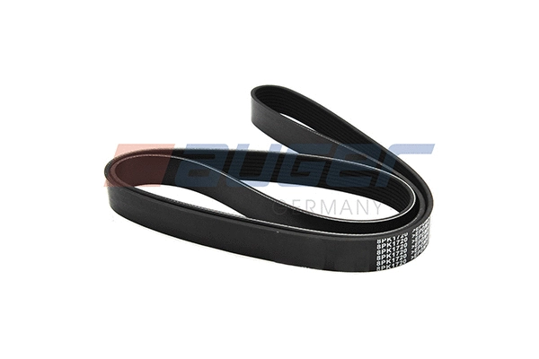 V-Ribbed Belt (80074)