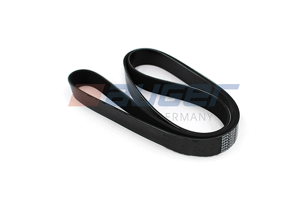 V-Ribbed Belt (79962)