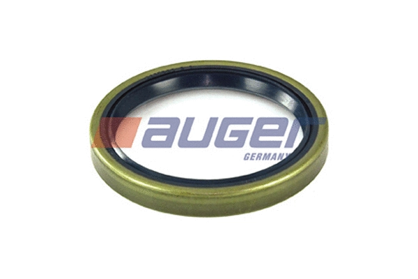 Shaft Seal, differential (69209)
