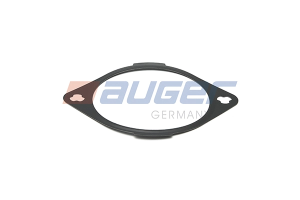 Gasket, exhaust manifold (100799)