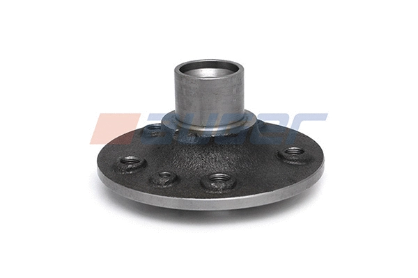 Wheel Hub (84231)