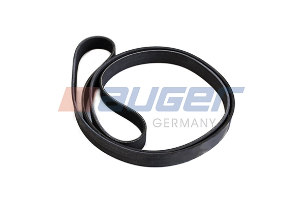 V-Ribbed Belt (80131)