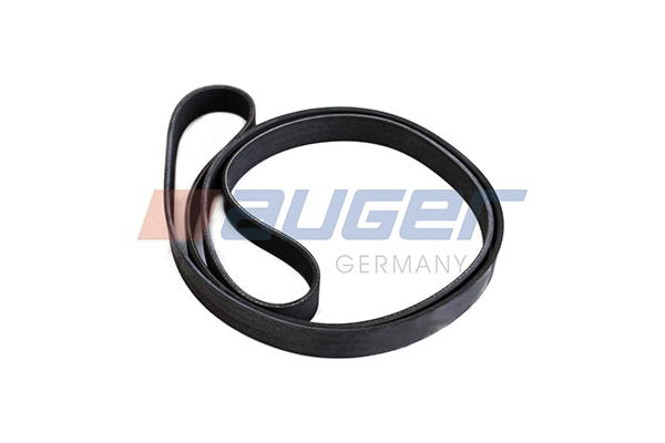 V-Ribbed Belt (87686)