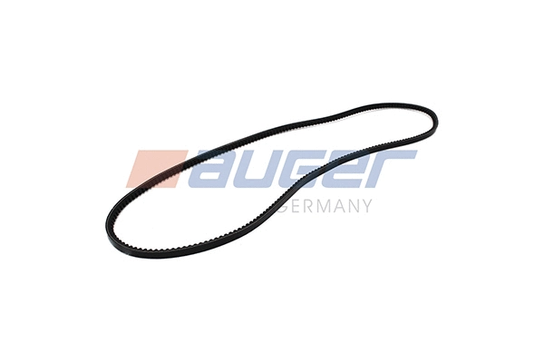V-Belt (79868)