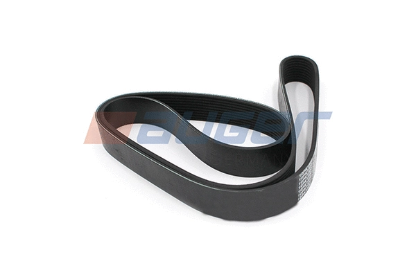 V-Ribbed Belt (79986)