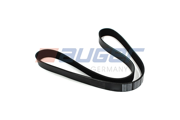 V-Ribbed Belt (79913)