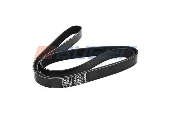 V-Ribbed Belt (87701)