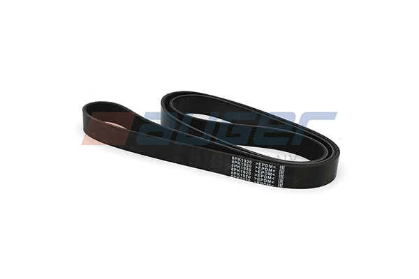 V-Ribbed Belt (80029)