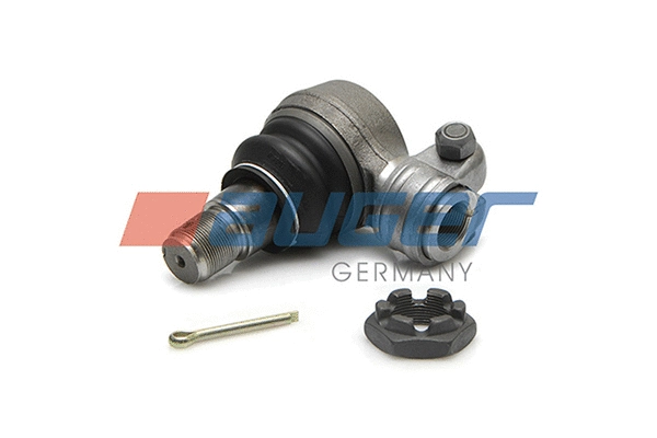 Tie Rod End (10025)