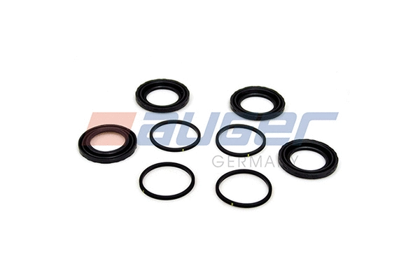 Repair Kit, brake caliper (55809)