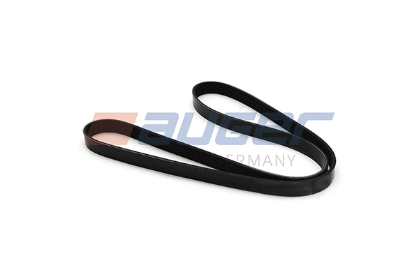 V-Ribbed Belt (79900)